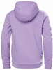 BLUZA DZIECIĘCA HELLY HANSEN LOGO 2.0 41677 HEATHER